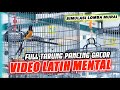 LIVE 2 PANCINGAN FIGHTER SIMULASI LOMBA MURAI BATU ️