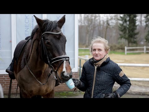 Wieviel Glühwein verträgt ein Pferd? Besitzerin von Falco & Bourbon schaut nach Falco & Bourbon