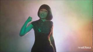 Nicki Minaj - Till The World Ends Verse - Femme Fatale Tour Background Clip