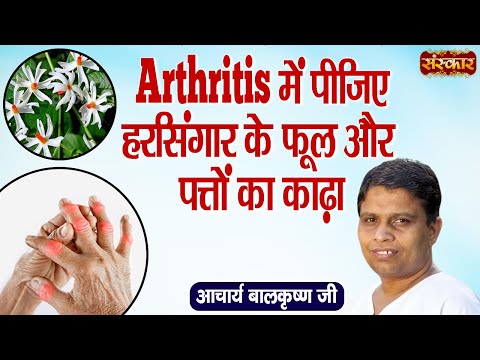Arthritis में पीजिए हरसिंगार के फूल और पत्तों का काढ़ा | Medicine for Arthritis~Acharya BalkrishnaJi