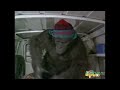 Born To Be Wild 1995 VHS Trailer