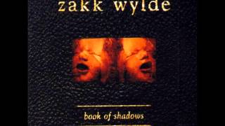Zakk Wylde - The Things You Do (Subtitulado En Español)