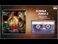 Jungle Jungle Audio Song Telugu Movie Song Adavi Nitin Reddy Priyanka Kothari MRT Music
