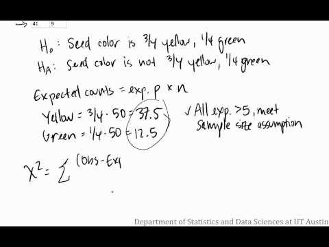 This video analyzes if the observed distribution of pea plants matched the expected distribution from Mendel's pea plant experiment.