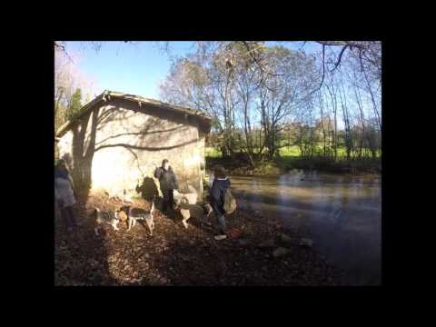 Randonnée éducative 22 novembre 2015 - Echiré/Coudray Salbart