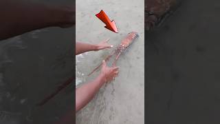 Download lagu Catch Shrimp With Your Hands. Easy River Fishing Hack! #shortsvideo #fishingadventure mp3