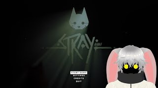 🐾 Stray Cat Survival! 😺 Live Gameplay & Exploration!