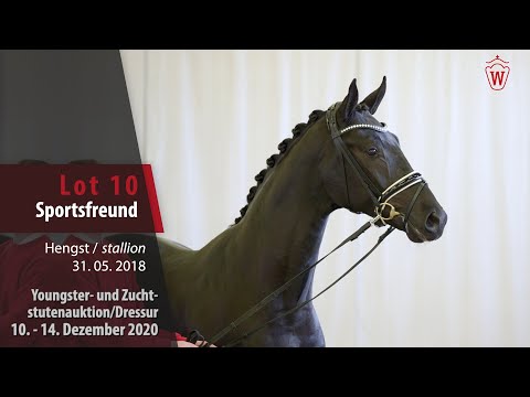Youngster- und Zuchtstutenauktion/Dressur Lot 10 Sportsfreund Hengst v. Sir Heinrich - Florestan I