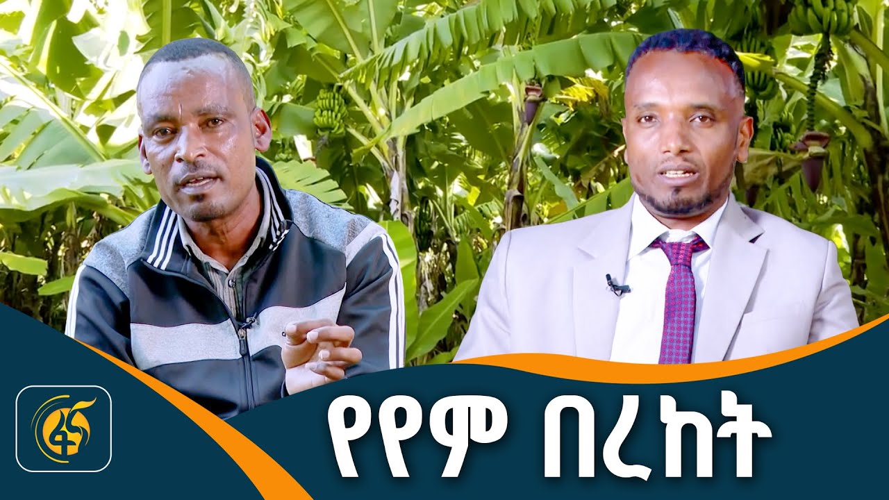 በአነስተኛ ቦታ ከፍ ያለ ምርታማነት