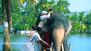 How to Mount an Elephant