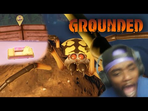 THE HEDGE LAB SUPER CHIP! | Grounded