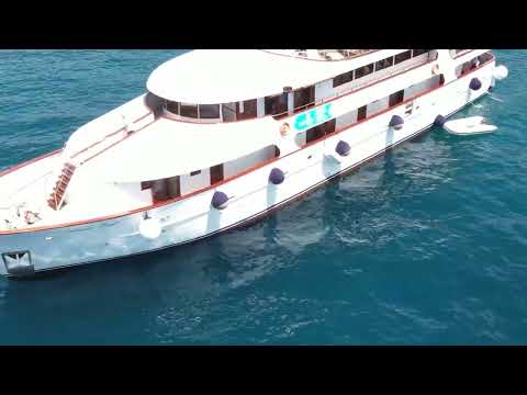 Cruise video 1