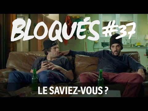 Bloqués #37 - Le saviez vous ?