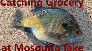 Fishing a NEW LAKE for SOME GROCERYS