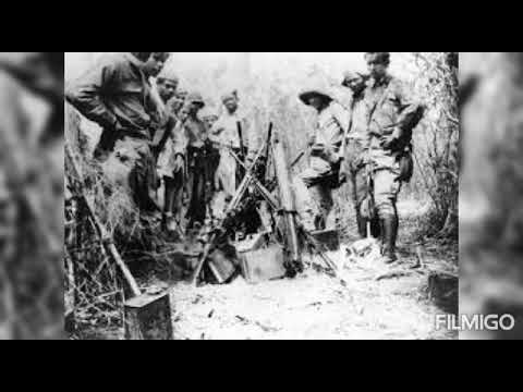 Reservista Guarani - Los ídolos de Piribebuy