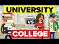 University VS College What S The Difference Education Comparison
