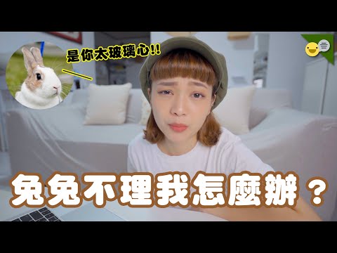 兔子生氣不理人