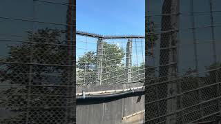 夏の青空の中疾走する新幹線は鉄分補給に最適
