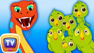 Snake & Parrots - Bedtime Stories for Kids in English | ChuChu TV Storytime
