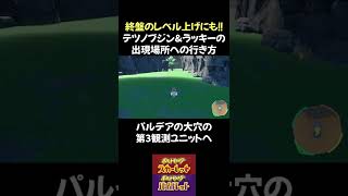 【ポケモンSV】わかりにくい！テツノブジンの出現場所 #shorts