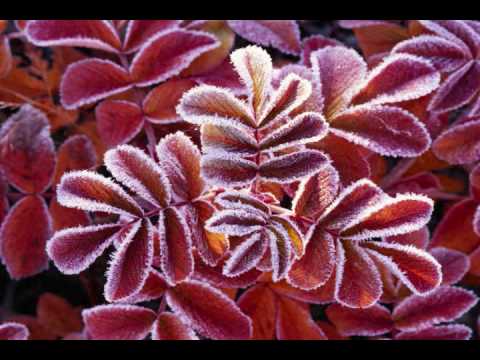 Nadine Sutherland Thank Him