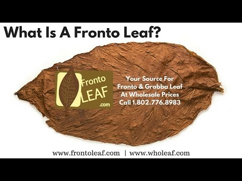 What Is A Fronto Leaf? (One Of Our Most Popular Questions)