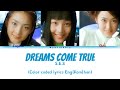 S.E.S — Dreams Come True (Color coded lyrics Eng|Rom|Han) #dreamscometrue #ses