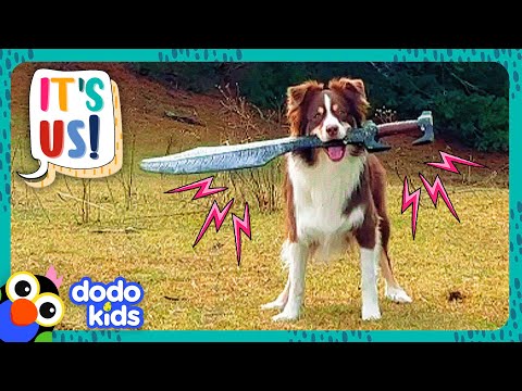 Sword Dog And Stick Dog Will Conquer The World! | Dodo Kids | It's Me!