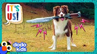 Miniature vidéo
