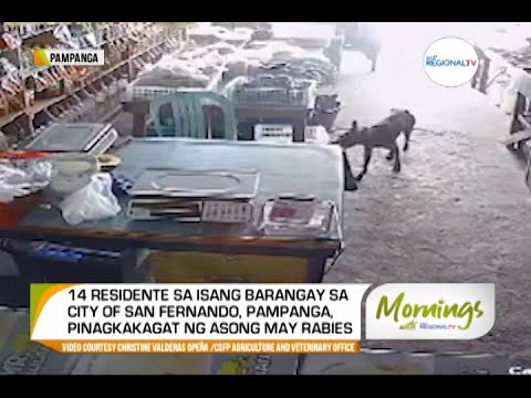Mornings with GMA Regional TV: 14 Residente, Pinagkakagat ng Asong May Rabies