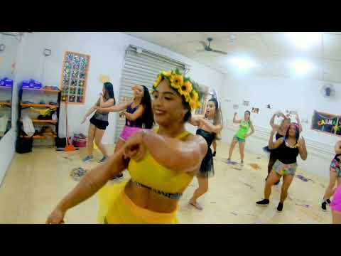 Aula de FitDance - Carnaval Chegando - DJ Rennan da Penha e Pocah