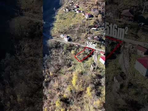 YouTube Shorts Önizleme