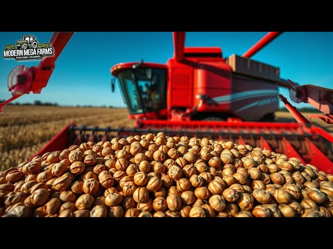 How Turkey Farmers Harvest 1.3 Billion Pounds of Hazelnut - Farming Documentary | Agriculture Tech