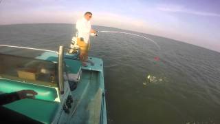 Cork Sucking Red Fish and Speckled Trout