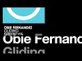 Obie Fernandez Gliding