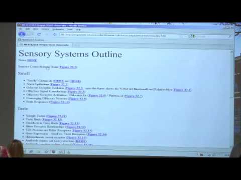 Kevin Ahern's Bite-Sized Biochemistry #51 - Gene Expression III / Sensory Systems I