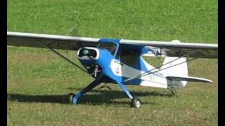 preview picture of video 'Piper PA18 Super Cub'
