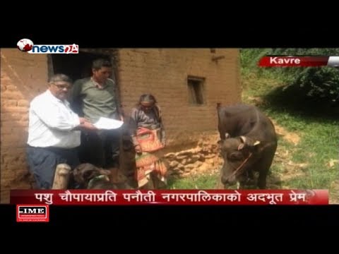 Prime Time 8 PM NEWS_2075_05_21 - NEWS24 TV