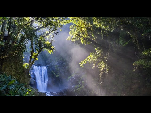 Neidong National Forest Recreation Area