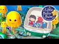 Ten Little Animals From The Sea LittleBabyBum Nursery Rhymes For Babies ABCs And 123s