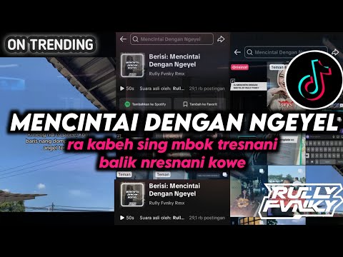 DJ MENCINTAI DENGAN NGEYEL BY RULLY FVNKY VIRAL FYP TIKTOK TERBARU 2024