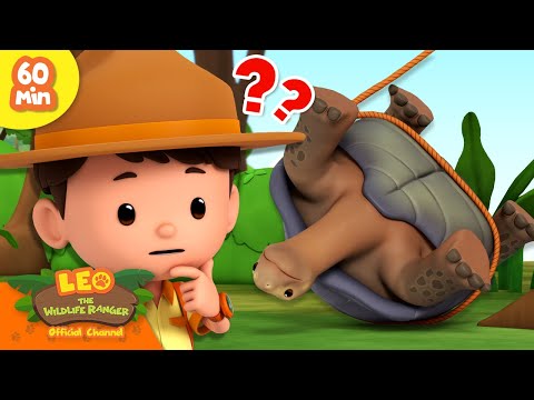 Witness21 Editor  2024 08 24