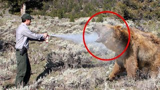 Man Tries Using Bear Spray on Grizzly (GONE WRONG)