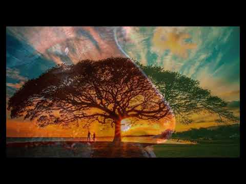 A Voz De Um Avô - Pauã