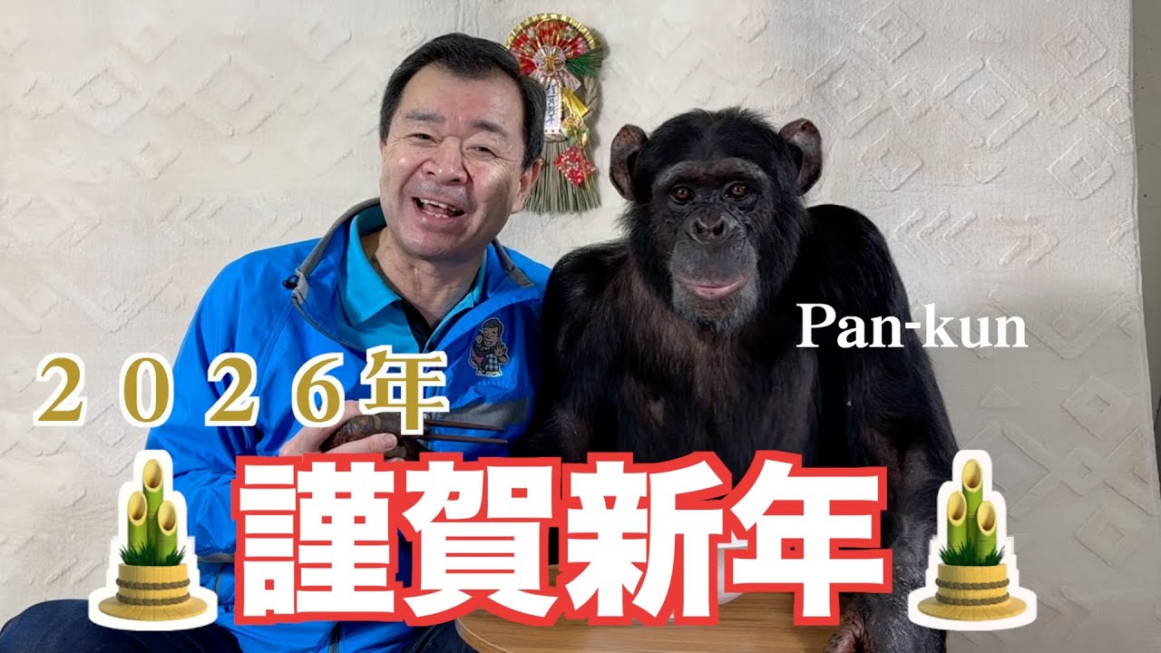 ２０２６年お正月は香川県発祥の紅白うどんでお祝い㊗️天才！チンパンジーパンくん「年明けうどん」 モンキーふーちゃん🐒書き初め #パンくん #紅白うどん