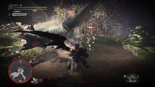 ［MHW］プケプケ2分37秒　太刀ソロ