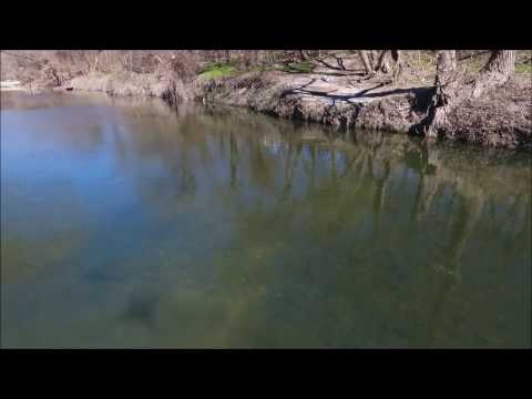 Chasing Carp at the creek with the Phantom 4 Drone in HD