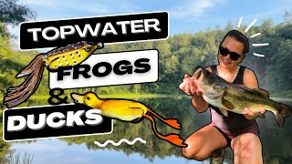 Topwater Frog Fishing For Giant Bass! (Grinding for Giants ep.2)