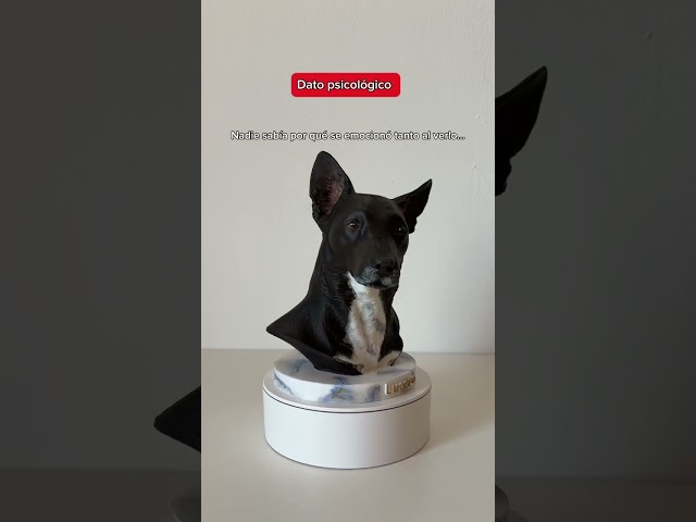 Vídeo relacionado con Figura 3D personalizada para fotógrafo, figura 3D hecha a mano de arcilla polimérica de cuerpo completo con mini cámara DSLR, decoración de escritorio de jubilación de cumpleaños, regalo para