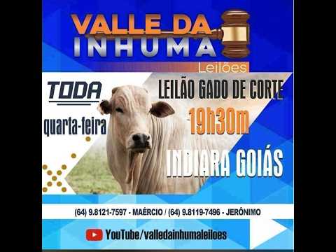 INDIARA - GO   25/03/2026